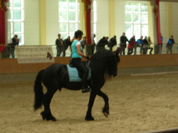 Friesenschau 2007 - 
