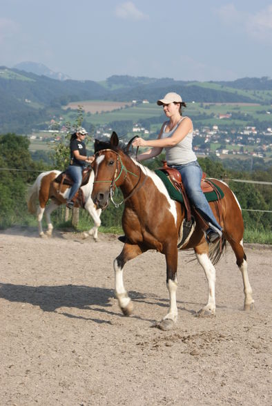 Reiten - 