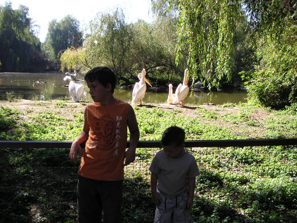 Vogelpark Schmieding - 