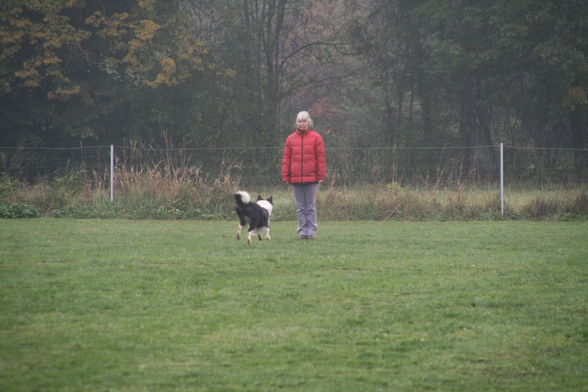 Peter Eder Gedenkturnier - 