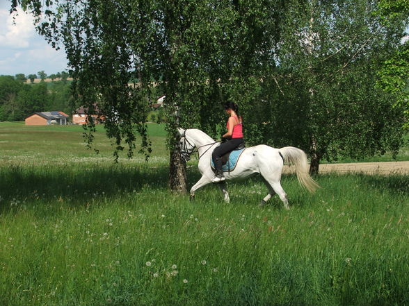 mei weiwi und i beim Training - 