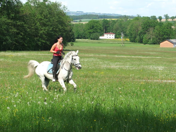 mei weiwi und i beim Training - 