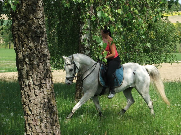 mei weiwi und i beim Training - 