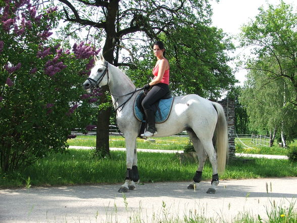 mei weiwi und i beim Training - 