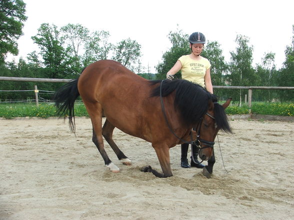 mei weiwi und i beim Training - 