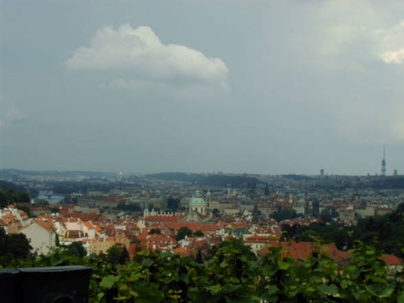 PRAg - 