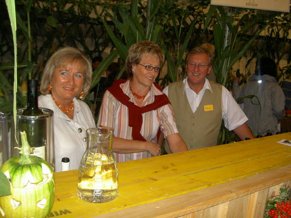 Kürbis und Weinfest - 