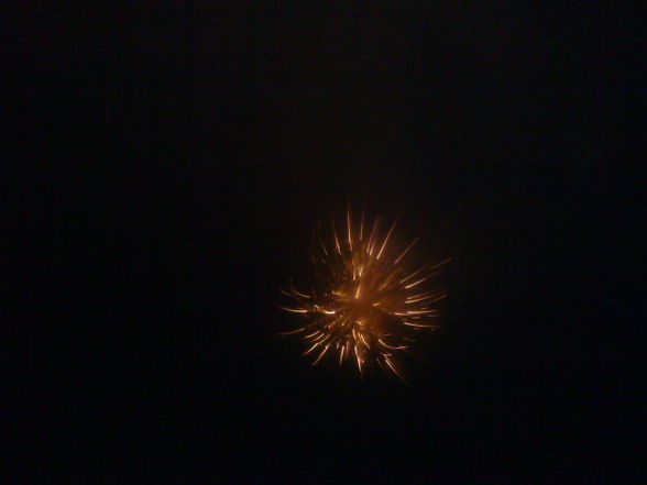 feuerwerk 2010  _bummmmm_   - 