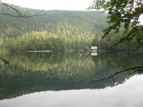 Eben.Hochkog.08/Bernkog.09/Trisselwand09 - 