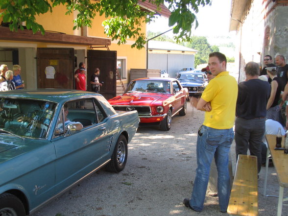 Mustangtreffen - 