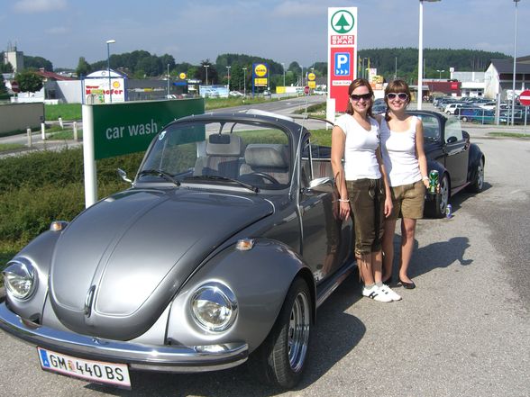 Käfertreffen Windischgarsten - 