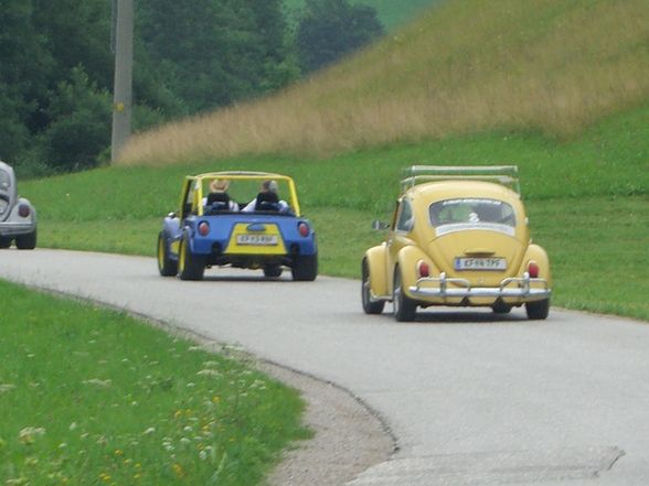 Käfertreffen Windischgarsten - 