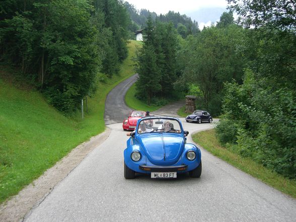 Käfertreffen Windischgarsten - 