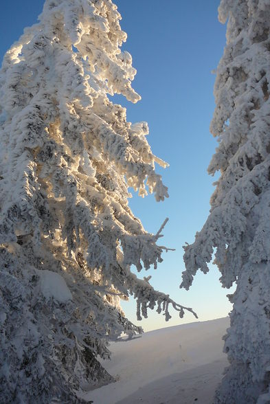 Almkogel - 