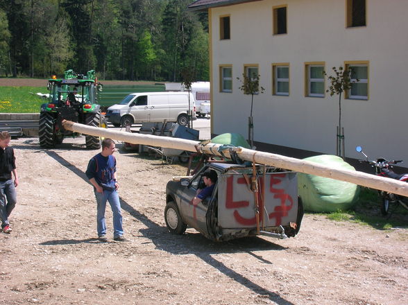 Maibaum aufstellen - 