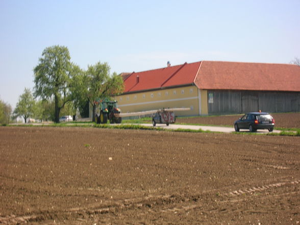 Maibaum aufstellen - 