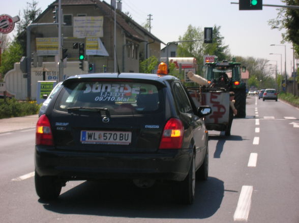 Maibaum aufstellen - 