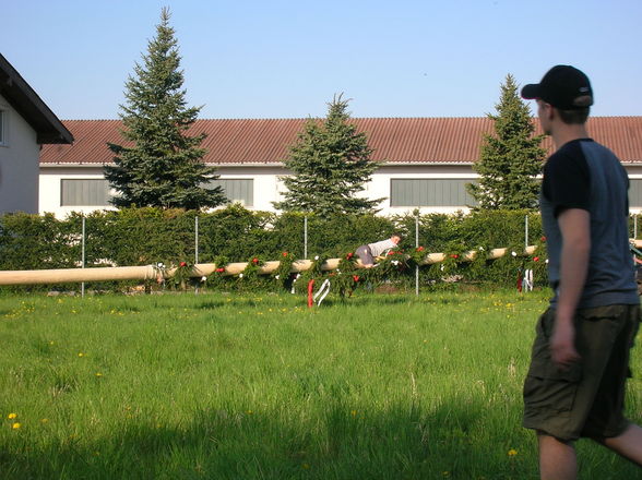 Maibaum aufstellen - 