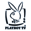 PLAYBOY - 