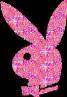 PLAYBOY - 