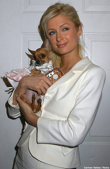 PARIS HILTON - 