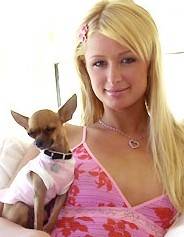 PARIS HILTON - 