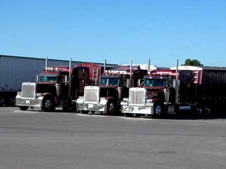 the Amerikan Trucks - 