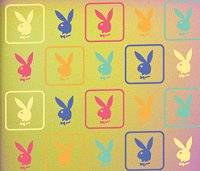 Playbunnys - 