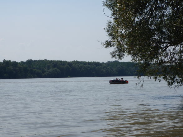 Schlauchboot fahren Saxen-- Grein 2009 - 