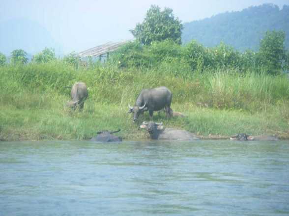 Laos - 