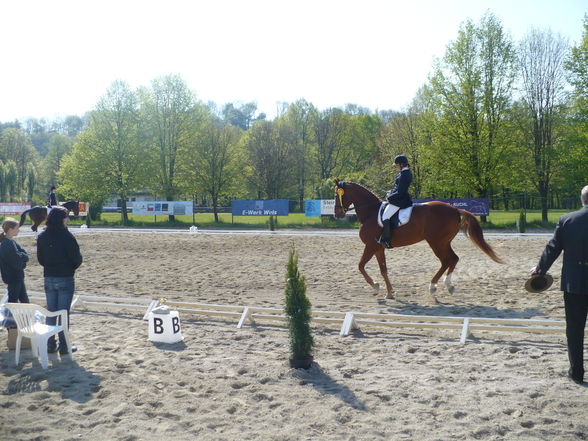 Welser Tunier 2008 - 