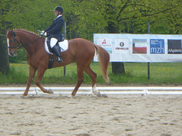 Welser Tunier 2008 - 