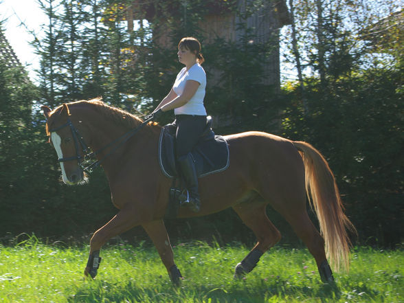 Diabolo's Fotoshooting - 