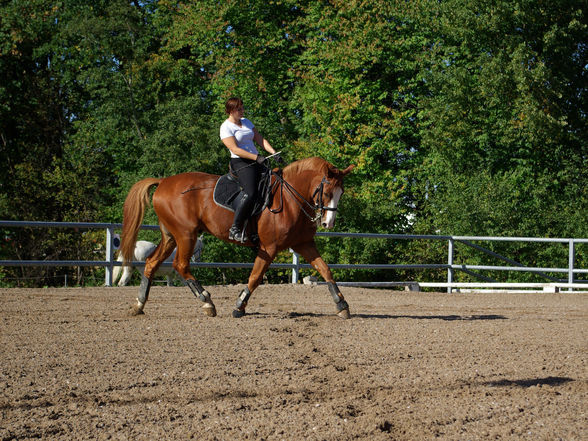 Diabolo's Fotoshooting - 