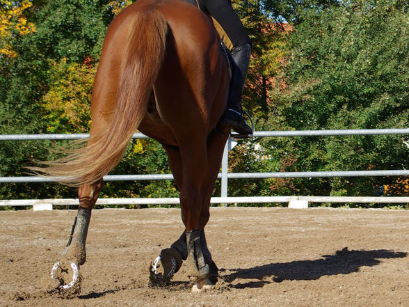 Diabolo's Fotoshooting - 