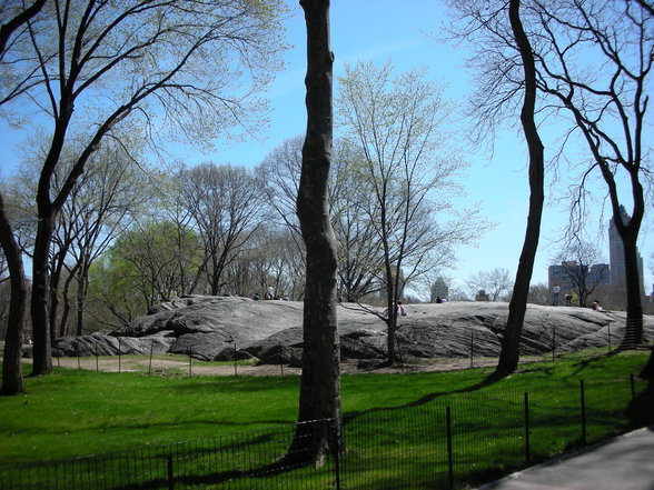 Central Park & Empire State Building - 