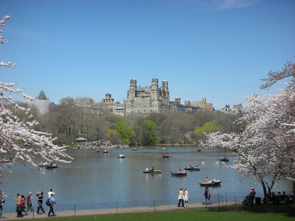 Central Park & Empire State Building - 