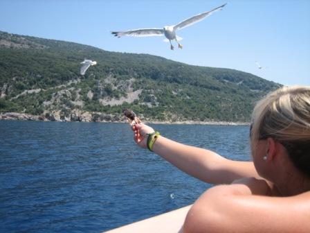 urlaub in rabac......:)!!!!! - 