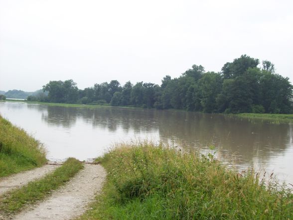 Hochwasser 2009 - 