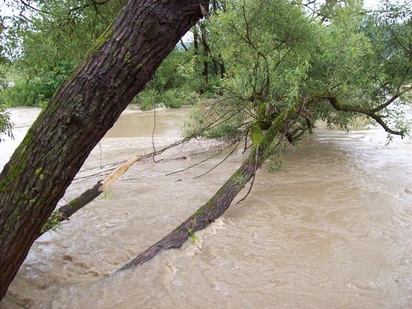 Hochwasser 2009 - 