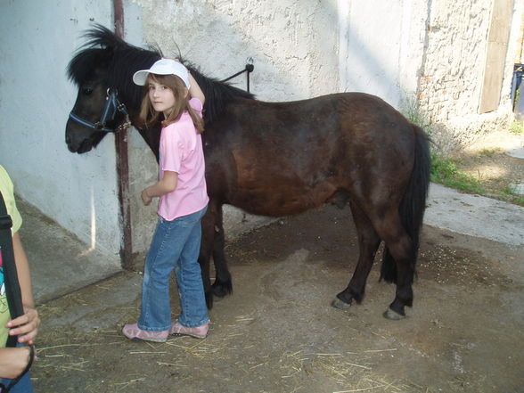 Mei lieblings Hobby - 