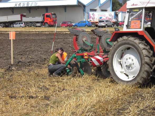 Bundespflügen in Zeltweg - 