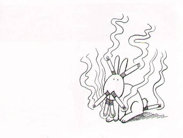 Suicide bunnies - 