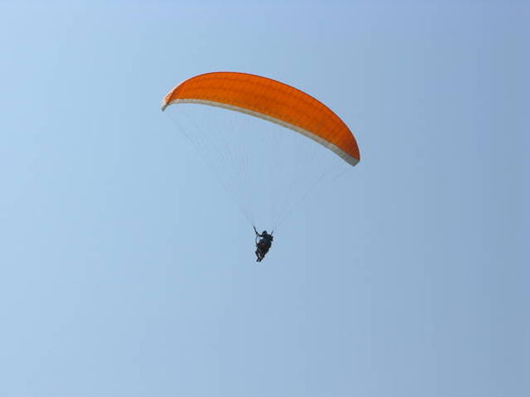 Fliegen in Indien (Arambol) - 