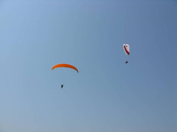 Fliegen in Indien (Arambol) - 