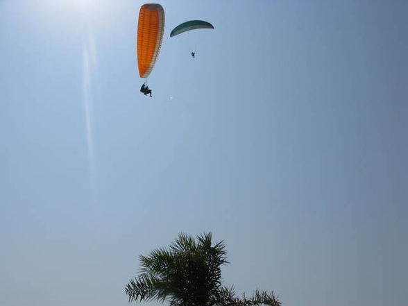 Fliegen in Indien (Arambol) - 