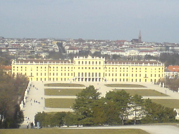 Wien Woche  - 