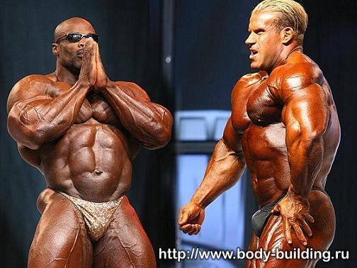 mr. olympia 2006 - 