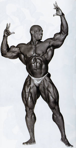 bodybuilding - 