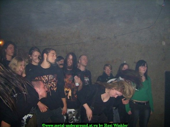 <<<MOSH THE CELLAR>>> - 